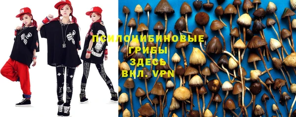 круглые Магас