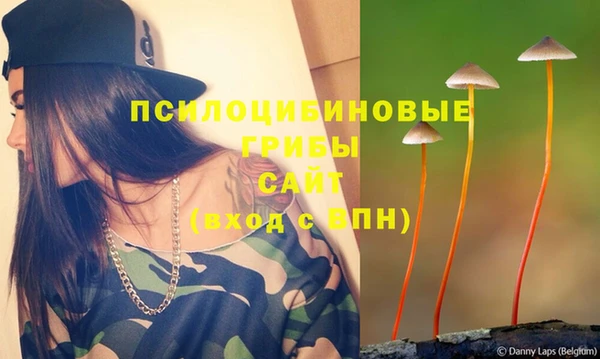 apvp Бугульма