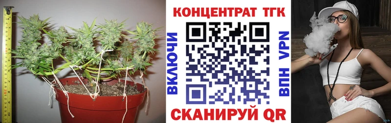 ТГК Wax  Макаров 